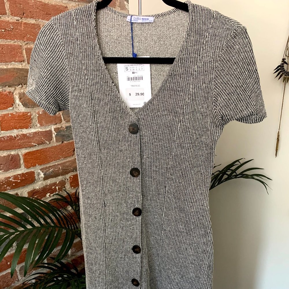 Zara Fall Collection Short Sleeve Dress